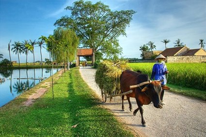 GRAND NORTHERN VIETNAM OVERLAND ODYSSEY: HANOI, HALONG BAY, HA GIANG & BAN GIOC (9 DAYS / 8 NIGHTS)